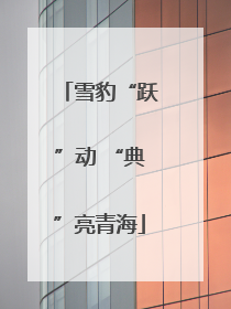 雪豹“跃”动 “典”亮青海