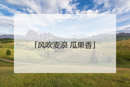 风吹麦浪 瓜果香