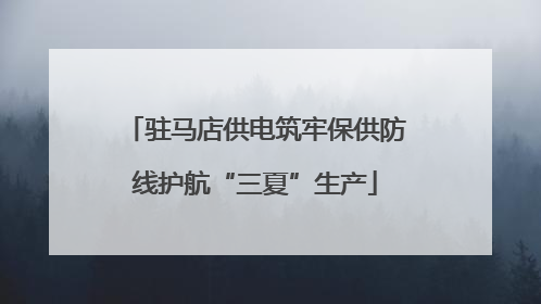 驻马店供电筑牢保供防线护航“三夏”生产