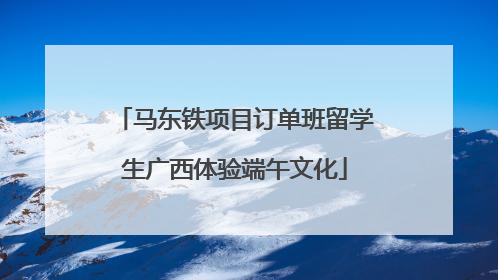 马东铁项目订单班留学生广西体验端午文化