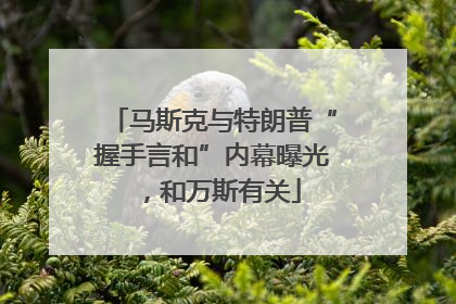马斯克与特朗普“握手言和”内幕曝光，和万斯有关