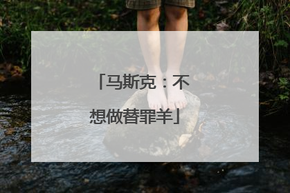 马斯克：不想做替罪羊