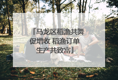 马龙区稻渔共舞促增收 稻渔订单生产共致富