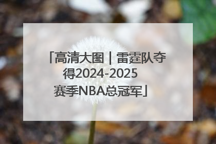 高清大图｜雷霆队夺得2024-2025赛季NBA总冠军