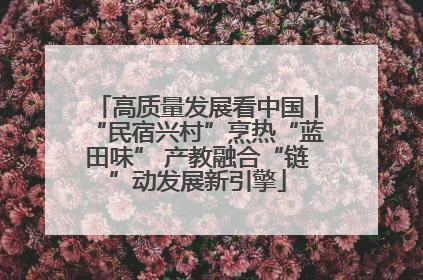 高质量发展看中国丨“民宿兴村”烹热“蓝田味” 产教融合“链”动发展新引擎
