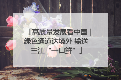 高质量发展看中国｜绿色通道达境外 输送三江“一口鲜”