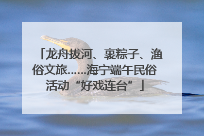 龙舟拔河、裹粽子、渔俗文旅……海宁端午民俗活动“好戏连台”