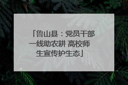 鲁山县：党员干部一线助农耕 高校师生宣传护生态