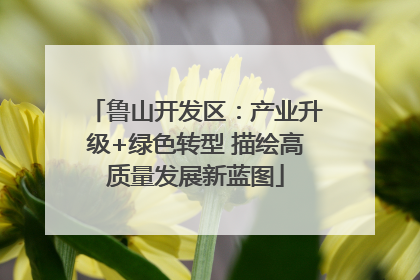 鲁山开发区：产业升级+绿色转型 描绘高质量发展新蓝图