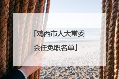 鸡西市人大常委会任免职名单