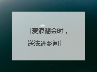 麦浪翻金时，送法进乡间
