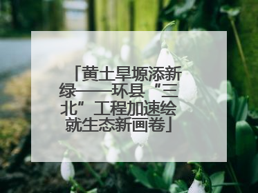 黄土旱塬添新绿——环县“三北”工程加速绘就生态新画卷