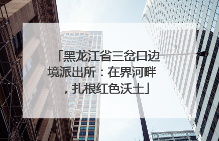 黑龙江省三岔口边境派出所：在界河畔，扎根红色沃土