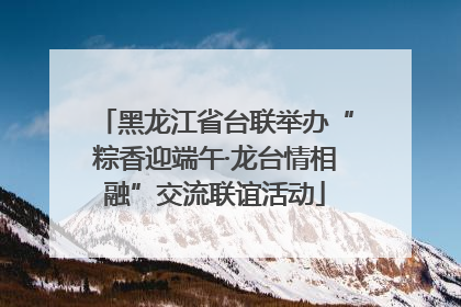 黑龙江省台联举办“粽香迎端午·龙台情相融”交流联谊活动
