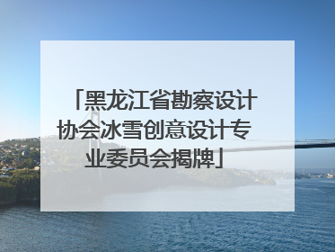 黑龙江省勘察设计协会冰雪创意设计专业委员会揭牌