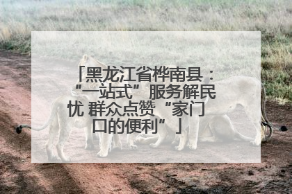 黑龙江省桦南县：“一站式”服务解民忧 群众点赞“家门口的便利”