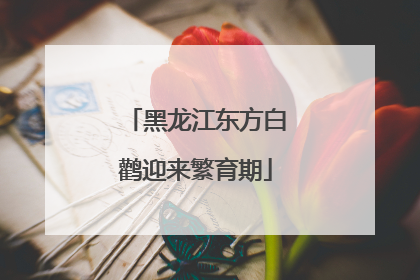 黑龙江东方白鹳迎来繁育期