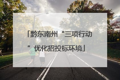 黔东南州“三项行动”优化招投标环境