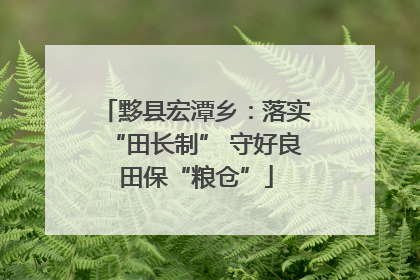黟县宏潭乡：落实“田长制” 守好良田保“粮仓”