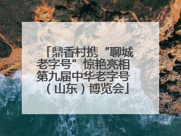 鼎香村携“聊城老字号”惊艳亮相第九届中华老字号（山东）博览会