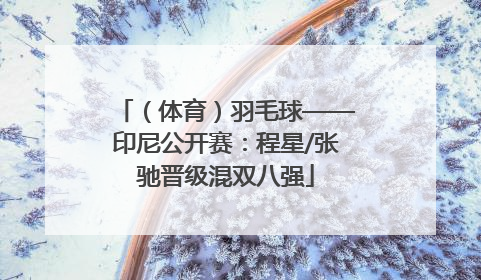 （体育）羽毛球——印尼公开赛：程星/张驰晋级混双八强