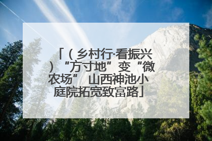 （乡村行·看振兴）“方寸地”变“微农场” 山西神池小庭院拓宽致富路