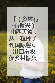 （乡村行·看振兴）山西天镇：从一粒种子到国际餐桌 出口富农促乡村振兴