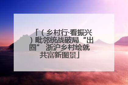 （乡村行·看振兴）毗邻统战破局“出圈” 浙沪乡村绘就共富新图景