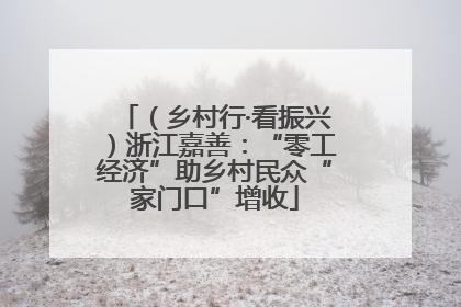 （乡村行·看振兴）浙江嘉善：“零工经济”助乡村民众“家门口”增收