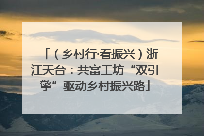 （乡村行·看振兴）浙江天台：共富工坊“双引擎”驱动乡村振兴路