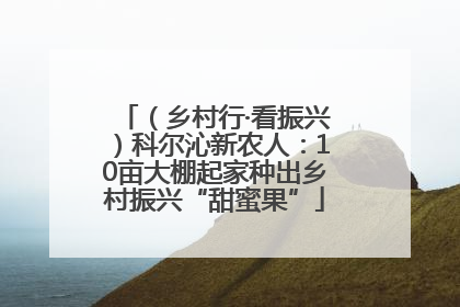 （乡村行·看振兴）科尔沁新农人：10亩大棚起家种出乡村振兴“甜蜜果”