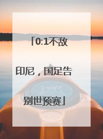 0:1不敌印尼，国足告别世预赛