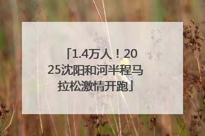 1.4万人！2025沈阳和河半程马拉松激情开跑