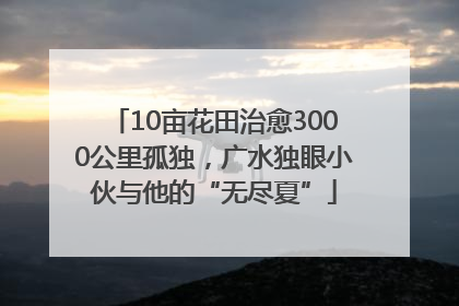 10亩花田治愈3000公里孤独，广水独眼小伙与他的“无尽夏”