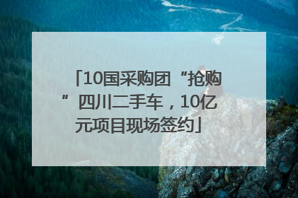 10国采购团“抢购”四川二手车，10亿元项目现场签约