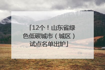 12个！山东省绿色低碳城市（城区）试点名单出炉