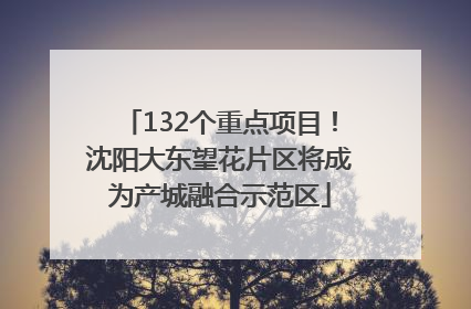 132个重点项目！沈阳大东望花片区将成为产城融合示范区