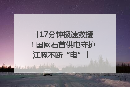 17分钟极速救援！国网石首供电守护江豚不断“电”