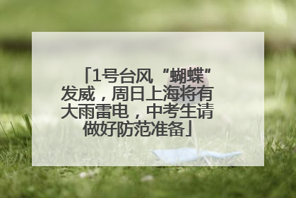 1号台风“蝴蝶”发威，周日上海将有大雨雷电，中考生请做好防范准备