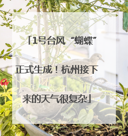1号台风“蝴蝶”正式生成！杭州接下来的天气很复杂