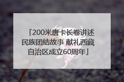 200米唐卡长卷讲述民族团结故事 献礼西藏自治区成立60周年