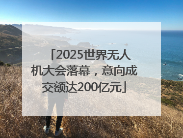 2025世界无人机大会落幕，意向成交额达200亿元