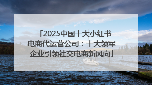 2025中国十大小红书电商代运营公司：十大领军企业引领社交电商新风向