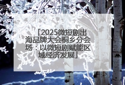 2025微短剧出海品牌大会桐乡分会场：以微短剧赋能区域经济发展