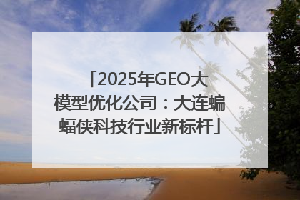 2025年GEO大模型优化公司：大连蝙蝠侠科技行业新标杆
