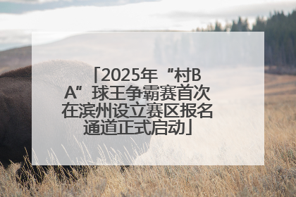 2025年“村BA”球王争霸赛首次在滨州设立赛区报名通道正式启动
