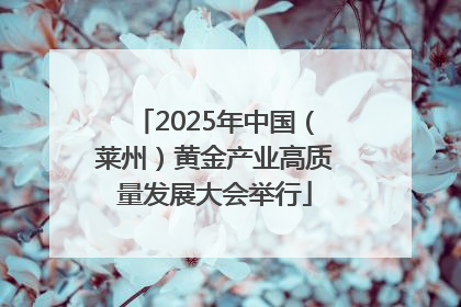 2025年中国（莱州）黄金产业高质量发展大会举行