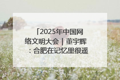 2025年中国网络文明大会｜董宇辉：合肥在记忆里很遥远也很亲切