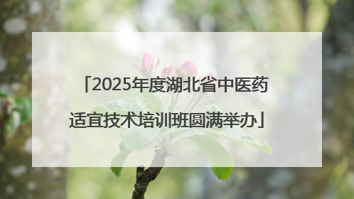 2025年度湖北省中医药适宜技术培训班圆满举办