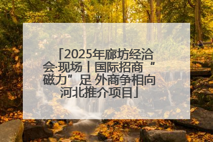 2025年廊坊经洽会·现场丨国际招商“磁力”足 外商争相向河北推介项目